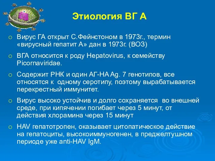 Этиология ВГ А Вирус ГА открыт С.Фейнстоном в 1973г., термин «вирусный