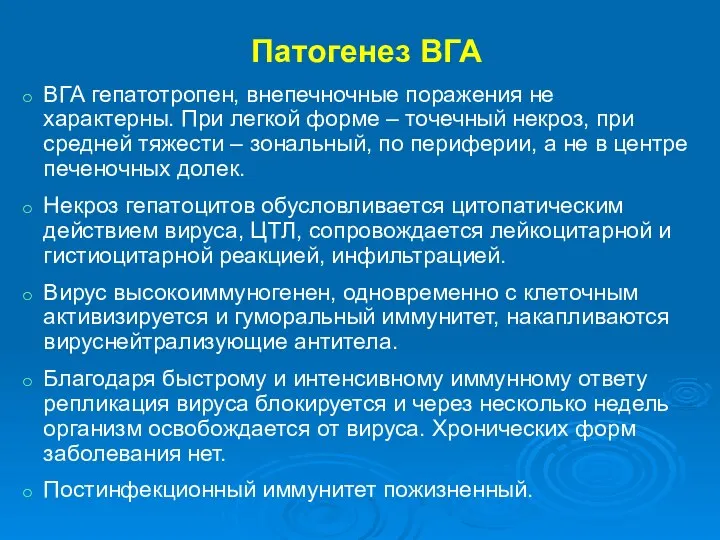 Патогенез ВГА ВГА гепатотропен, внепечночные поражения не характерны. При легкой форме