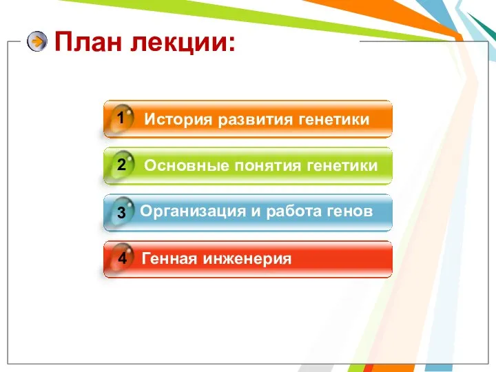 История развития генетики Основные понятия генетики Организация и работа генов Генная