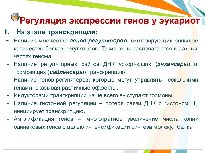 На этапе транскрипции: Наличие множества генов-регуляторов, синтезирующих большое количество белков-регуляторов. Такие