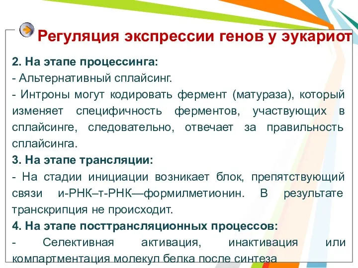 Регуляция экспрессии генов у эукариот 2. На этапе процессинга: - Альтернативный