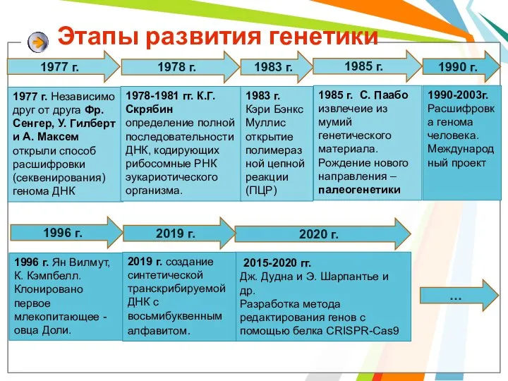 Этапы развития генетики 1990-2003г. Расшифровка генома человека. Международный проект 1977 г.