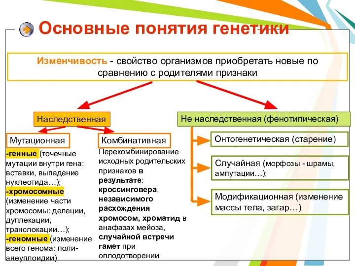 Основные понятия генетики Изменчивость - свойство организмов приобретать новые по сравнению