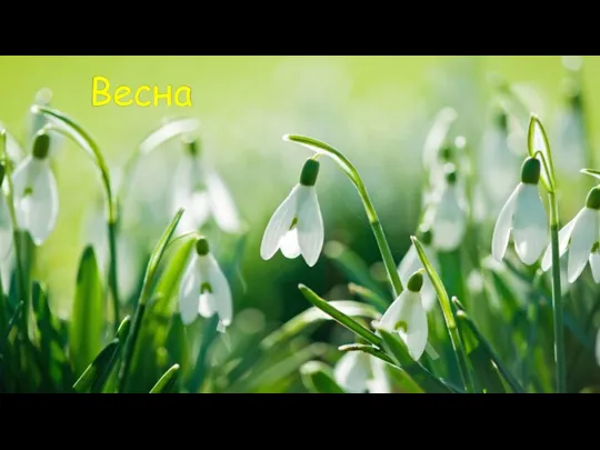 Весна