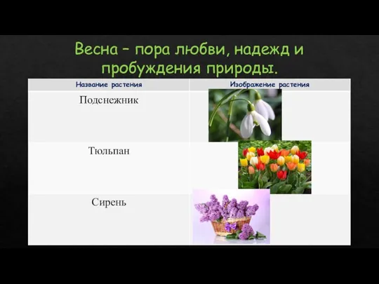 Весна – пора любви, надежд и пробуждения природы.