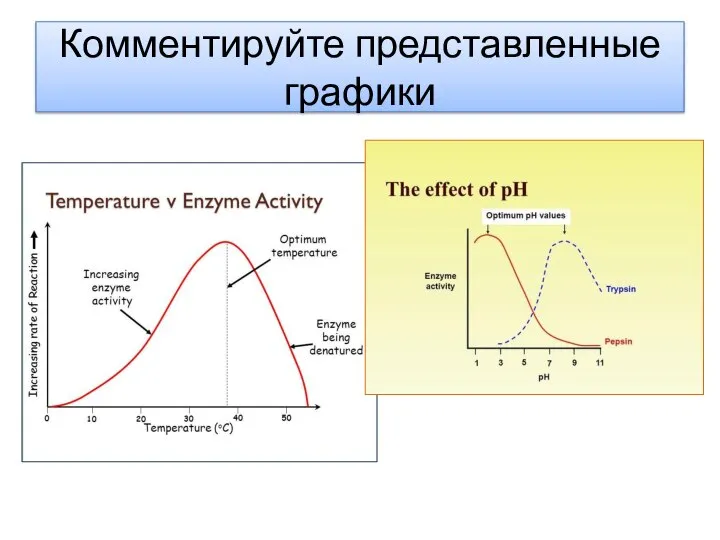 Комментируйте представленные графики