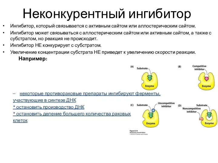 Неконкурентный ингибитор Ингибитор, который связывается с активным сайтом или аллостерическим сайтом.