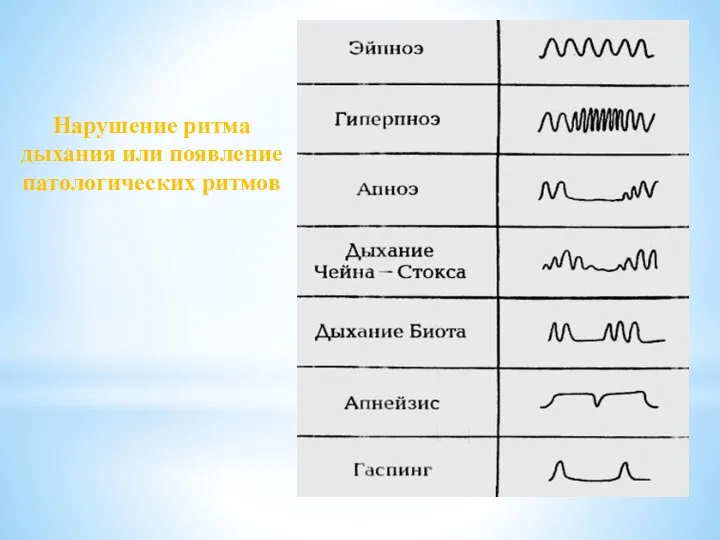 Нарушение ритма дыхания или появление патологических ритмов