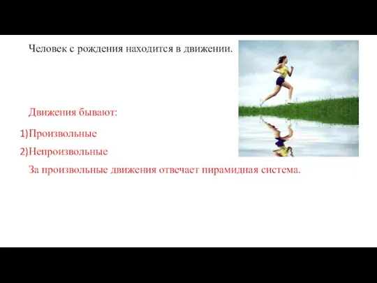 Человек с рождения находится в движении. Движения бывают: Произвольные Непроизвольные За произвольные движения отвечает пирамидная система.