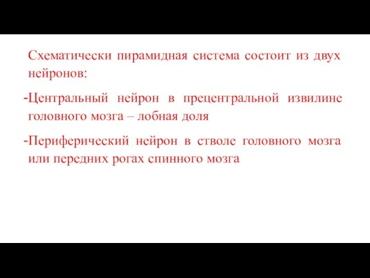 Схематически пирамидная система состоит из двух нейронов: Центральный нейрон в прецентральной