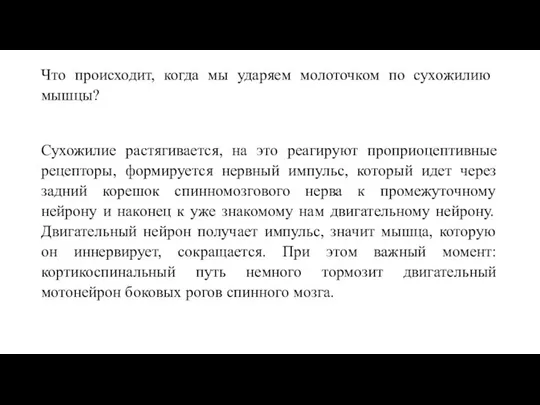 Что происходит, когда мы ударяем молоточком по сухожилию мышцы? Сухожилие растягивается,