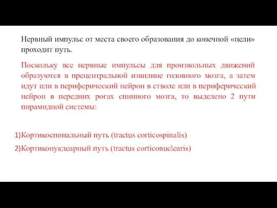 Нервный импульс от места своего образования до конечной «цели» проходит путь.