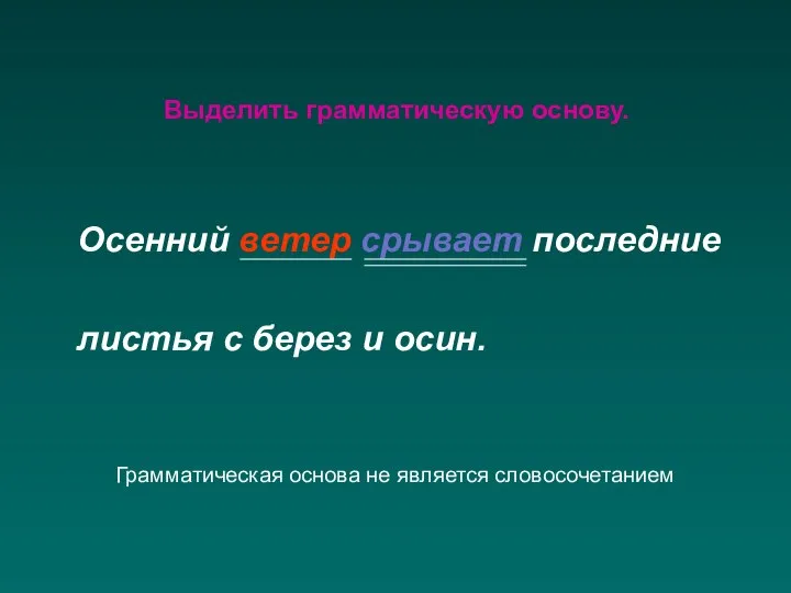 Выделить грамматическую основу. Осенний ветер срывает последние листья с берез и