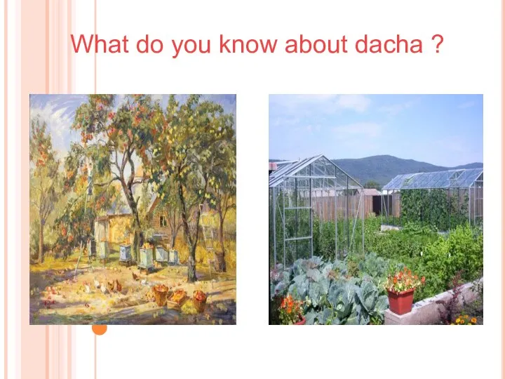 What do you know about dacha ?