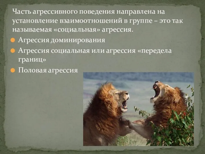 Часть агрессивного поведения направлена на установление взаимоотношений в группе – это