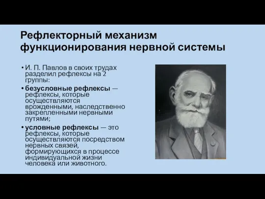 Рефлекторный механизм функционирования нервной системы И. П. Павлов в своих трудах