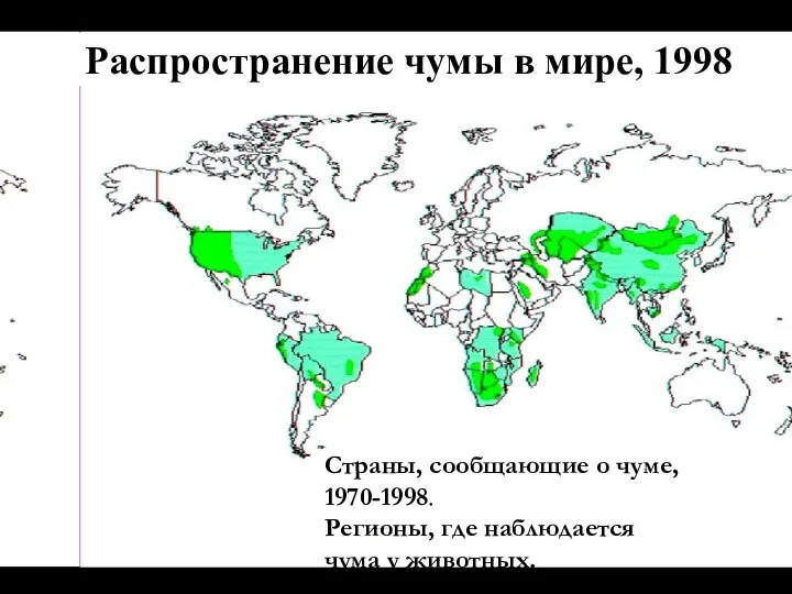 Распространение чумы в мире, 1998 Страны, сообщающие о чуме, 1970-1998. Регионы, где наблюдается чума у животных.