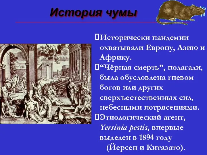 История чумы ⮚ Исторически пандемии охватывали Европу, Азию и Африку. ⮚