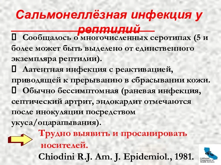 Сальмонеллёзная инфекция у рептилий ⮚ Сообщалось о многочисленных серотипах (5 и