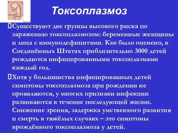 Токсоплазмоз ⮚ Существуют две группы высокого риска по заражению токсоплазмозом: беременные