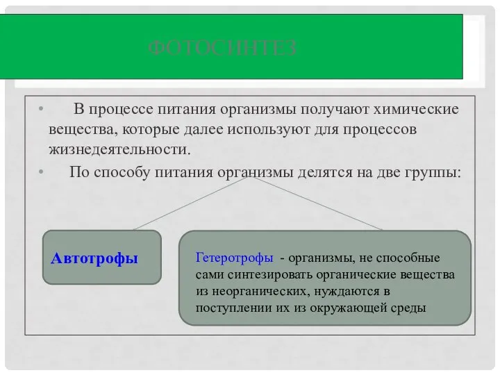 ФОТОСИНТЕЗ В процессе питания организмы получают химические вещества, которые далее используют