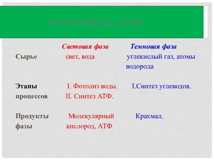 Световая фаза Темновая фаза Сырье свет, вода углекислый газ, атомы водорода