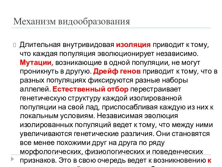 Механизм видообразования Длительная внутривидовая изоляция приводит к тому, что каждая популяция