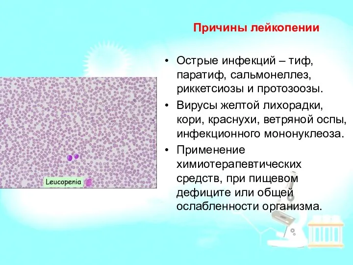 Причины лейкопении Острые инфекций – тиф, паратиф, сальмонеллез, риккетсиозы и протозоозы.