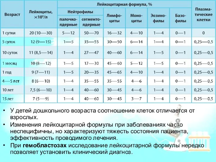 У детей дошкольного возраста соотношение клеток отличается от взрослых. Изменения лейкоцитарной