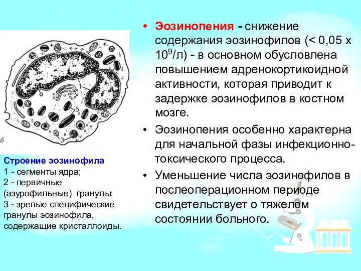 Эозинопения - снижение содержания эозинофилов ( Эозинопения особенно характерна для начальной