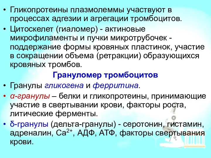 Гликопротеины плазмолеммы участвуют в процессах адгезии и агрегации тромбоцитов. Цитоскелет (гиаломер)