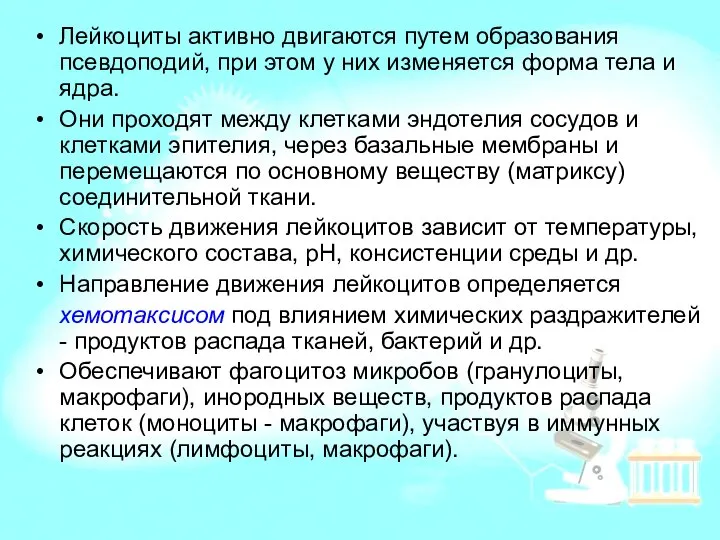 Лейкоциты активно двигаются путем образования псевдоподий, при этом у них изменяется