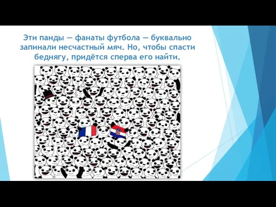 Эти панды — фанаты футбола — буквально запинали несчастный мяч. Но,