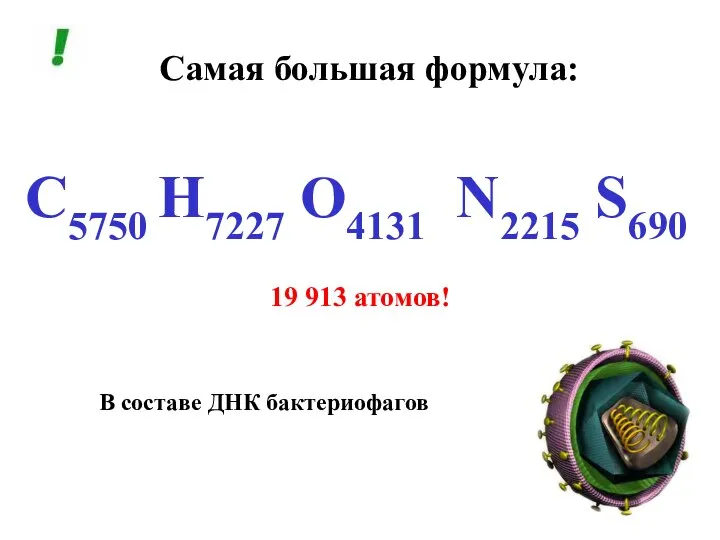 Самая большая формула: C5750 H7227 О4131 N2215 S690 В составе ДНК бактериофагов 19 913 атомов!