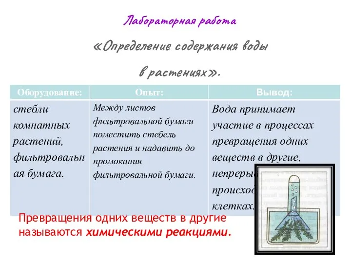 Лабораторная работа «Определение содержания воды в растениях». Превращения одних веществ в другие называются химическими реакциями.