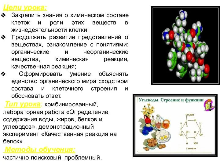 Цели урока: Закрепить знания о химическом составе клеток и роли этих