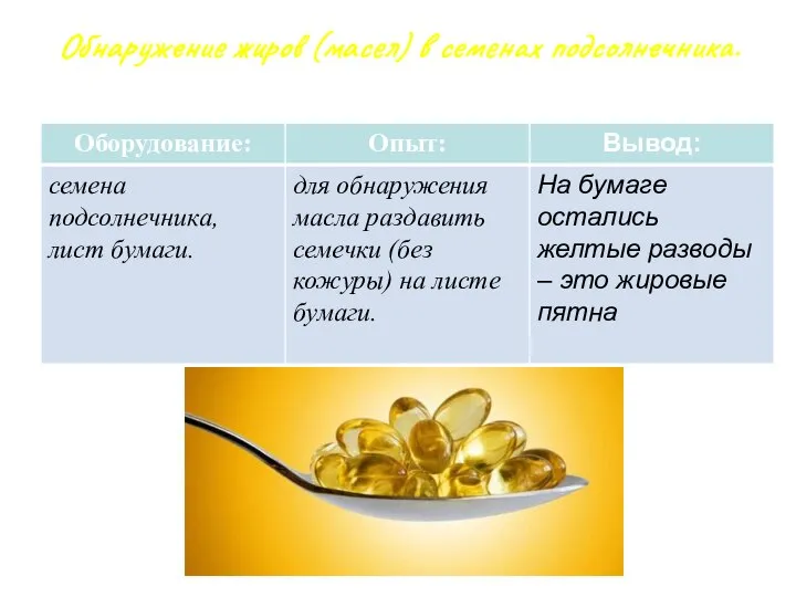 Обнаружение жиров (масел) в семенах подсолнечника.