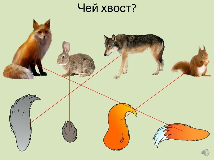 Чей хвост?