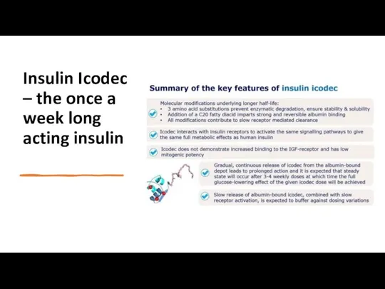 Insulin Icodec – the once a week long acting insulin