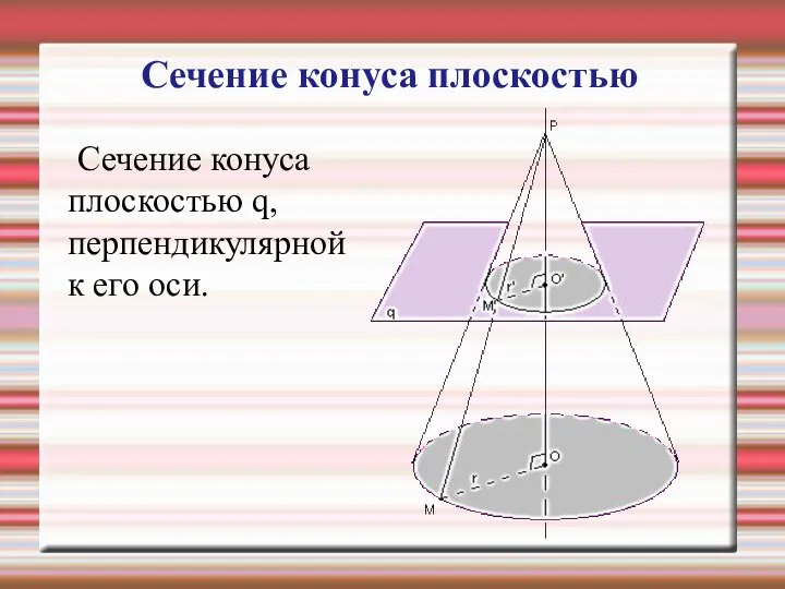 Сечение конуса плоскостью q, перпендикулярной к его оси. Сечение конуса плоскостью