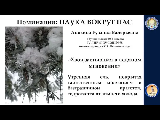 «Хвоя,застывшая в ледяном мгновении» Анохина Рузанна Валерьевна обучающаяся 10-Б класса ГУ