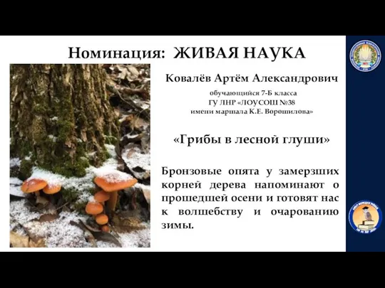 «Грибы в лесной глуши» Ковалёв Артём Александрович обучающийся 7-Б класса ГУ