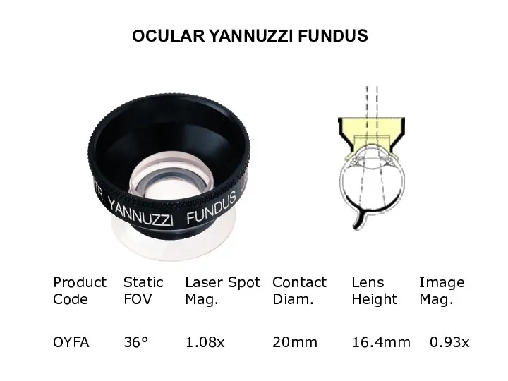 OCULAR YANNUZZI FUNDUS