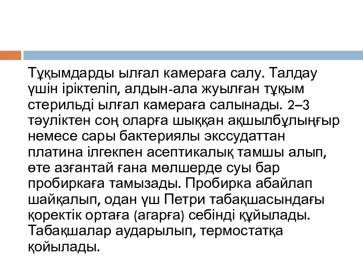 Тұқымдарды ылғал камераға салу. Талдау үшін іріктеліп, алдын-ала жуылған тұқым стерильді