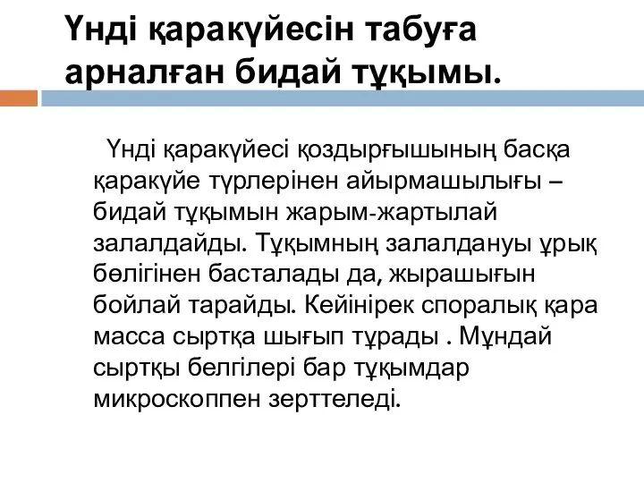 Үнді қаракүйесін табуға арналған бидай тұқымы. Үнді қаракүйесі қоздырғышының басқа қаракүйе