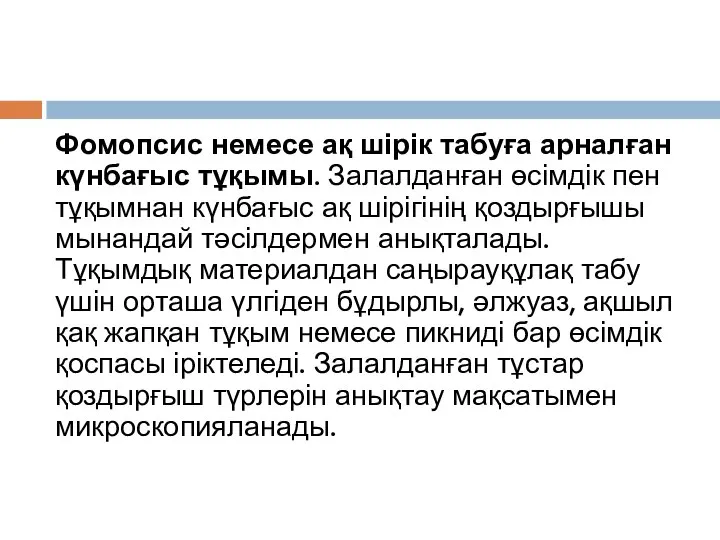 Фомопсис немесе ақ шірік табуға арналған күнбағыс тұқымы. Залалданған өсімдік пен