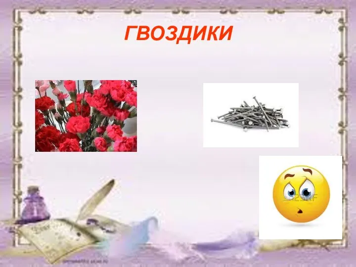 ГВОЗДИКИ