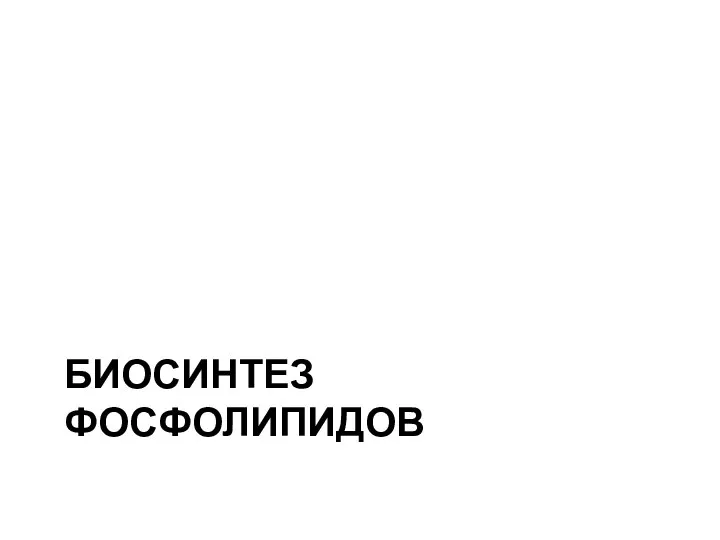 БИОСИНТЕЗ ФОСФОЛИПИДОВ