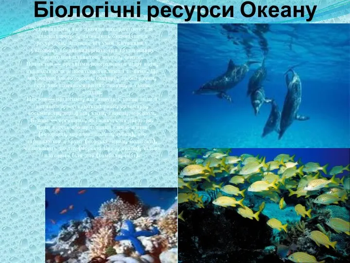 Біологічні ресурси Океану Усі організми, як і людина використовує для власних