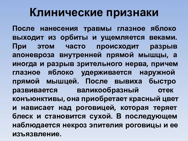 Клинические признаки После нанесения травмы глазное яблоко выходит из орбиты и